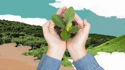 Экопросвещение в нацпарке «Кисловодский» может стать визитной карточкой всей заповедной системы России