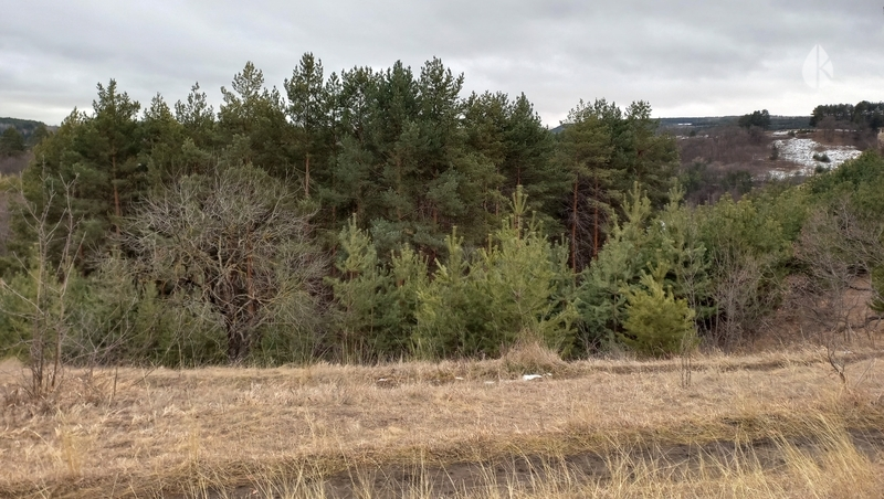 Кисловодск попал в топ востребованных локаций для оздоровления  