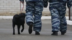 Техникум Кисловодска проверят в связи с угрозой минирования