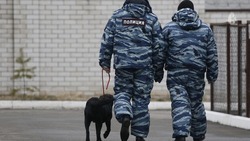 В Кисловодске два дня подряд проверяют школы из-за возможной угрозы минирования 