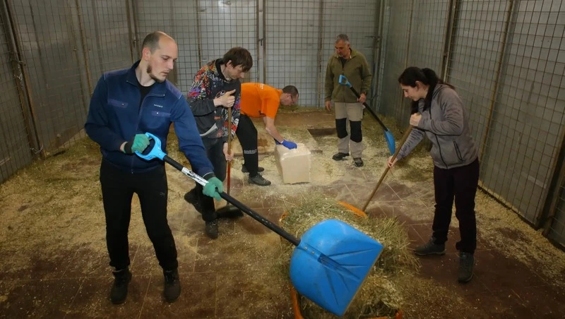 Субботник, посвящённый дружбе народов России, прошёл в кисловодском цирке 