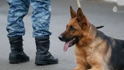 Сразу в 19 организациях Кисловодска объявлена эвакуация из-за сообщений о минировании