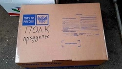 Долгожительница Кисловодска подготовила подарок российским военным