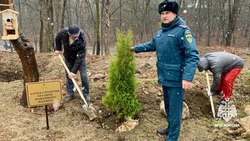Аллея столетия органов пожарного надзора появилась в Кисловодске  