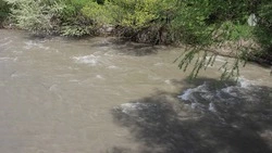 Губернатор Ставрополья попросил у правительства РФ помощи в расчистке реки в КЧР