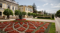 Более полумиллиона цветов высадят в Кисловодске в 2025 году