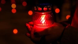 Ко Дню защитника Отечества в Кисловодске установят 15 «Парт Героев»