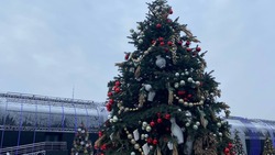 Кисловодские бюветницы украсили новогоднюю ёлку на выставке «Россия» в Москве