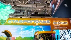 Глава Кисловодска пригласил всех посетить день курорта на выставке края на ВДНХ в Москве