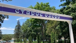 Благотворительный пикник для ребят из детских домов провели в Кисловодске