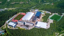 Чемпионы мира по сумо приехали на спортивные сборы в Кисловодск