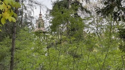 В Кисловодске впервые за 30 лет благоустроят Комсомольский парк