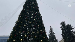 Дети создали новогодние игрушки из природных материалов в Кисловодске