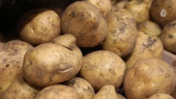 Продуктовая ярмарка пройдёт в Кисловодске 25 января 