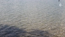 Кисловодское Старое озеро готовят к новому купальному сезону