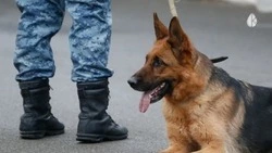 В Кисловодске появилась информация о минировании школ города