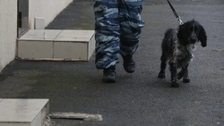 Колледж Кисловодска эвакуировали из-за угрозы взрыва