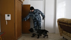 Угрозы о минировании зданий в Кисловодске не подтвердились 