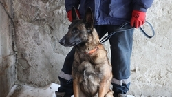 Кисловодские санатории обследуют после сообщений о минировании