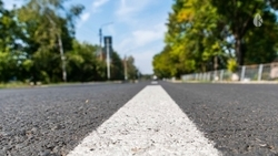 Кисловодчане выступили против вырубки деревьев для расширения проспекта Победы