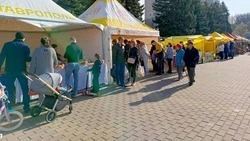 Более 3,1 млн руб. собрали для бойцов СВО на двух ярмарках в Кисловодске