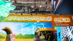 Стенд Ставрополья на выставке «Россия» посетили более 1,3 млн человек