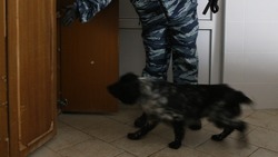 Угроза о минировании школы в Кисловодске поступила в администрацию города