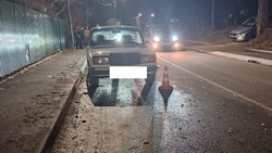 В Кисловодске 5-летний ребёнок попал под колёса автомобиля