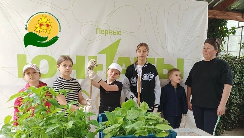 Эко-уроки для детей проводят в Кисловодске