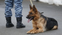 Подозрительный рюкзак нашли на вокзале в Кисловодске 11 апреля