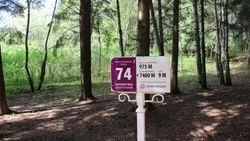 Участок терренкура перекрыли в Кисловодске из-за прошедших дождей