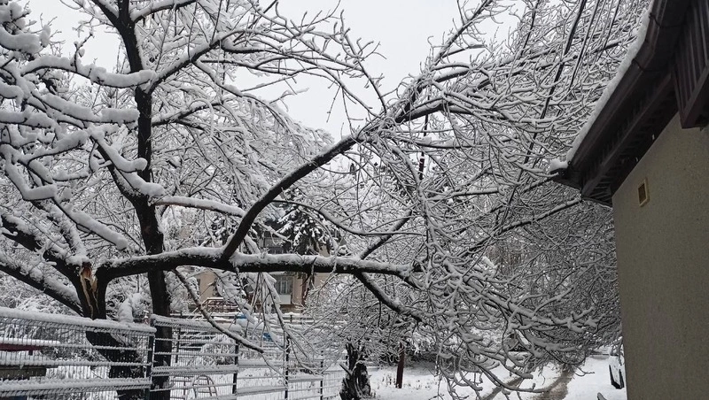 Экстренные службы устранили последствия снегопада в Кисловодске