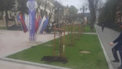В нескольких районах Кисловодска отловили бездомных собак