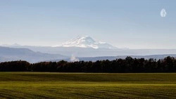 Карточные долги вынудили князя Голицына служить на Кавказе