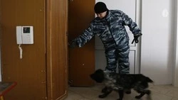 В Кисловодске в очередной раз появились сообщения о минировании