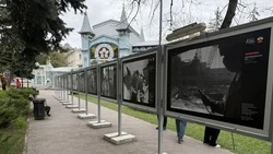 Выставку к 40-летию со дня Чернобыльской катастрофы открыли в Пятигорске