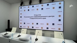 Перспективы отечественного семеноводства обсудят в ставропольском пресс-центре ТАСС