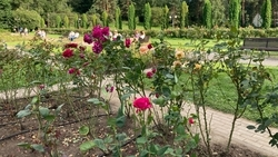 Научно-практическая конференция по заповедному делу прошла в Кисловодске