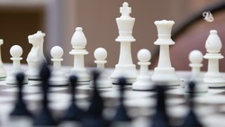 Шахматные соревнования провели в Кисловодске в течение 11 дней