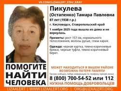 Волонтёры ищут 87-летнюю женщину в чёрной куртке в Кисловодске