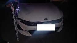 Пьяный пешеход угодил под машину в Кисловодске
