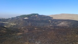 Глава Кисловодска прокомментировал последствия пожара на горе Малое Седло