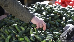 Более 140 мест нелегальной торговли устранили в Кисловодске в 2024 году