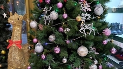 Конкурс на лучшее новогоднее оформление предприятий пройдёт в Кисловодске 