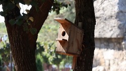 Конкурс на самую креативную кормушку проводят в Кисловодске  